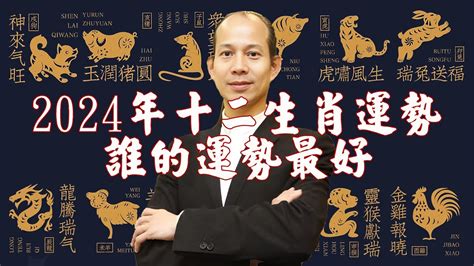 丙辰龍幸運色|2024龍年十二生肖幸運色公開！從流年運勢挑精品包。